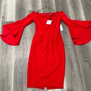 Brand new premier amour off the should red dress